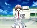 2.46 MB