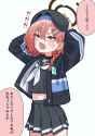 253 KB