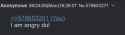 17 KB
