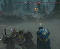 3.91 MB
