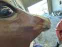 347 KB