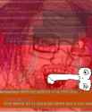 137 KB