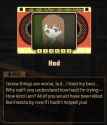 404 KB