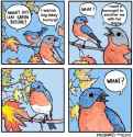 299 KB