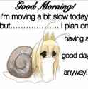 355 KB