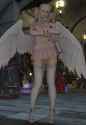 1.55 MB
