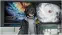 1.15 MB