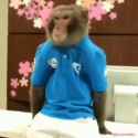 1.64 MB