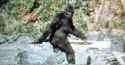 30 KB