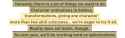 238 KB