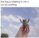 310 KB
