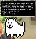 257 KB