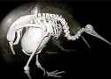 644 KB