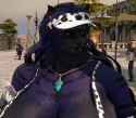 2.43 MB