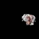 1.64 MB