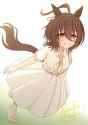 2.69 MB