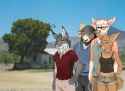 775 KB