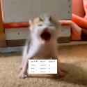 121 KB