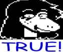 26 KB