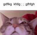 319 KB