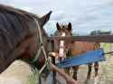 490 KB