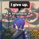 55 KB