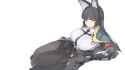 491 KB