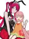 2.55 MB