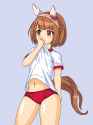 532 KB