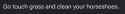 27 KB