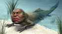 692 KB