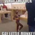281 KB