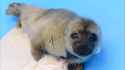 204 KB