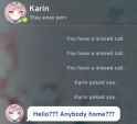231 KB