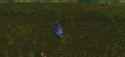 1.12 MB