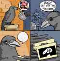 304 KB