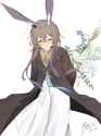 516 KB