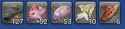 53 KB