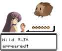 159 KB