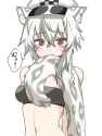 1.25 MB