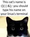 78 KB