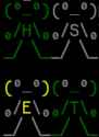24 KB