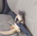 165 KB