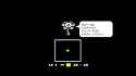 21 KB