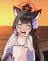 1.49 MB