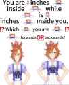 53 KB