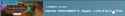 49 KB