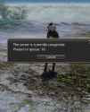 763 KB