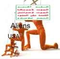 394 KB