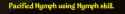 19 KB